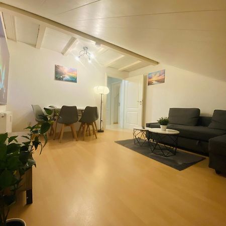Deluxe Business Suite Mit Netflix Premium & Parkplatz, Zentral Zu Audi & Schwarz Gruppe With 2 Bedrooms Bad Friedrichshall Dış mekan fotoğraf