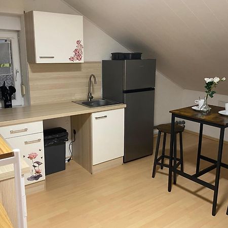 Deluxe Business Suite Mit Netflix Premium & Parkplatz, Zentral Zu Audi & Schwarz Gruppe With 2 Bedrooms Bad Friedrichshall Dış mekan fotoğraf