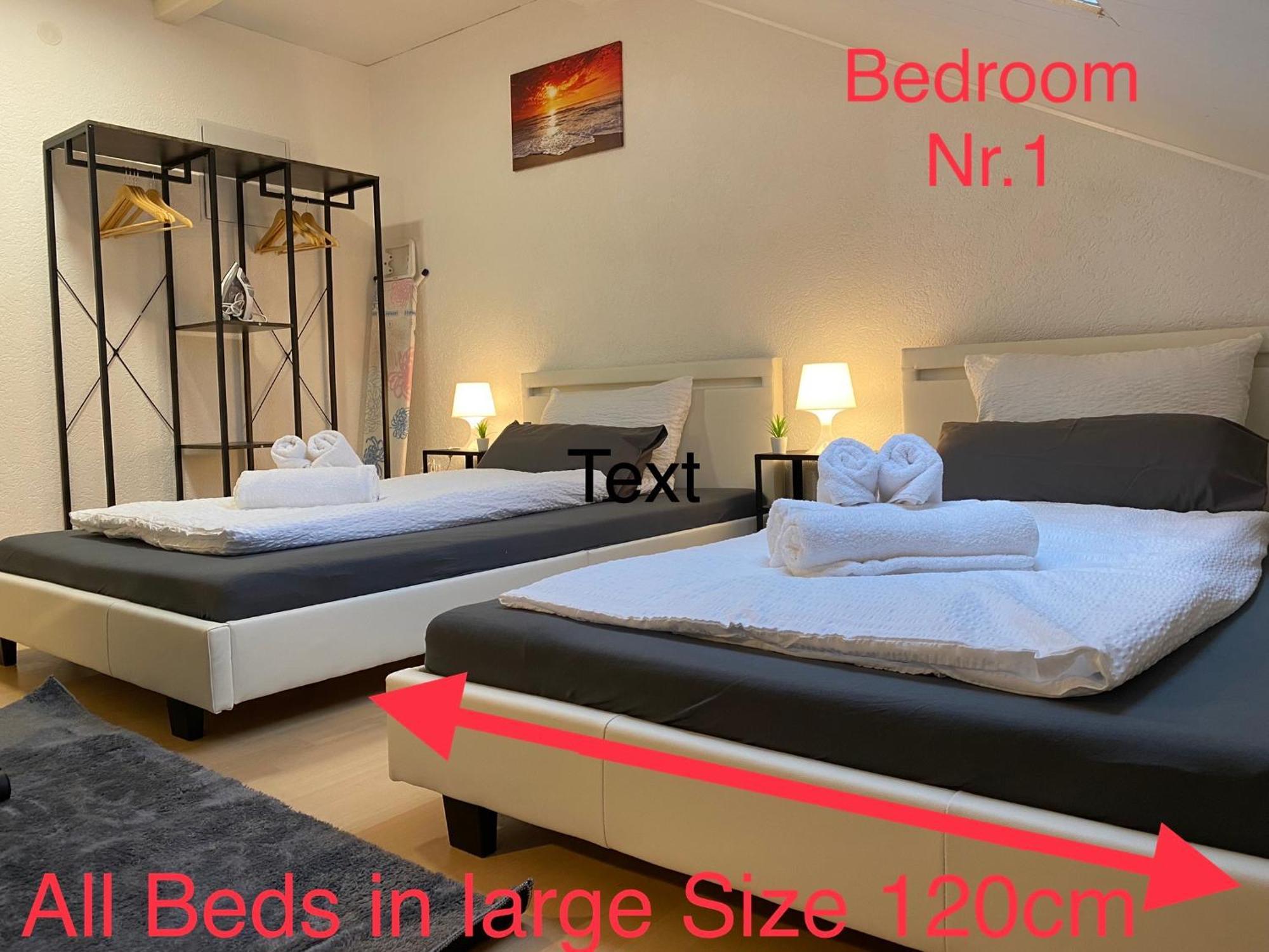 Deluxe Business Suite Mit Netflix Premium & Parkplatz, Zentral Zu Audi & Schwarz Gruppe With 2 Bedrooms Bad Friedrichshall Dış mekan fotoğraf